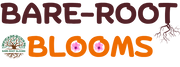 Bare-Root Blooms